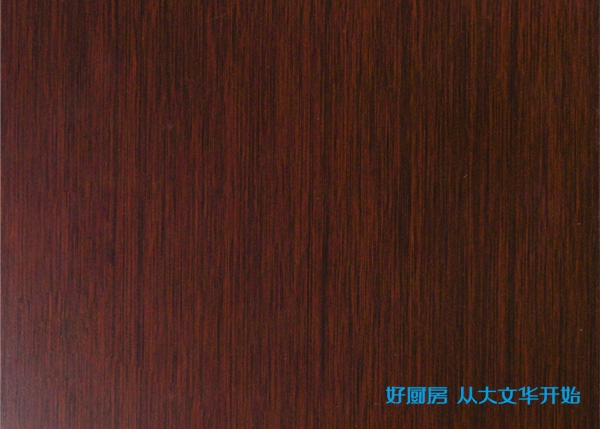不銹鋼烤漆門板-金絲木